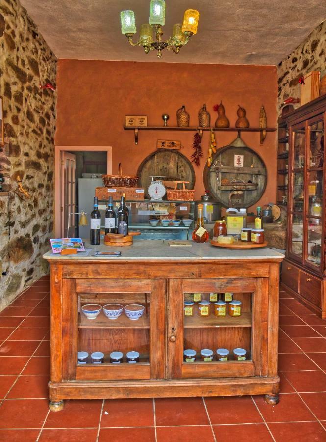 Quinta Do Barracao Da Vilarica Lodoes Bagian luar foto